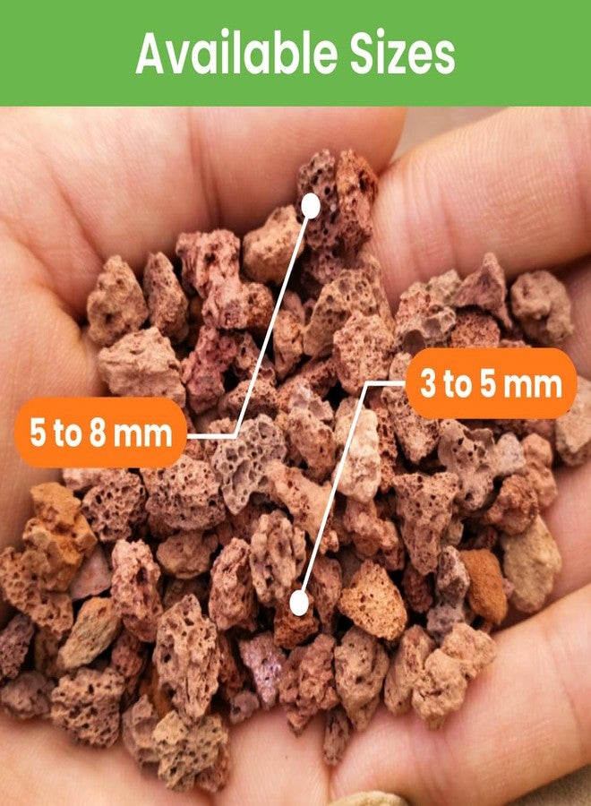 VAYINATO® Red Lava Chips (500 g) for Aquarium Base & Indoor Plants - Power Sand, pH Balance, Soil Aeration by Petzlifeworld - Image 2